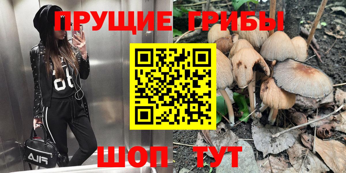 Псилоцибиновые грибы GOLDEN TEACHER  Вход с VPN  где купить наркотик  Отрадное 