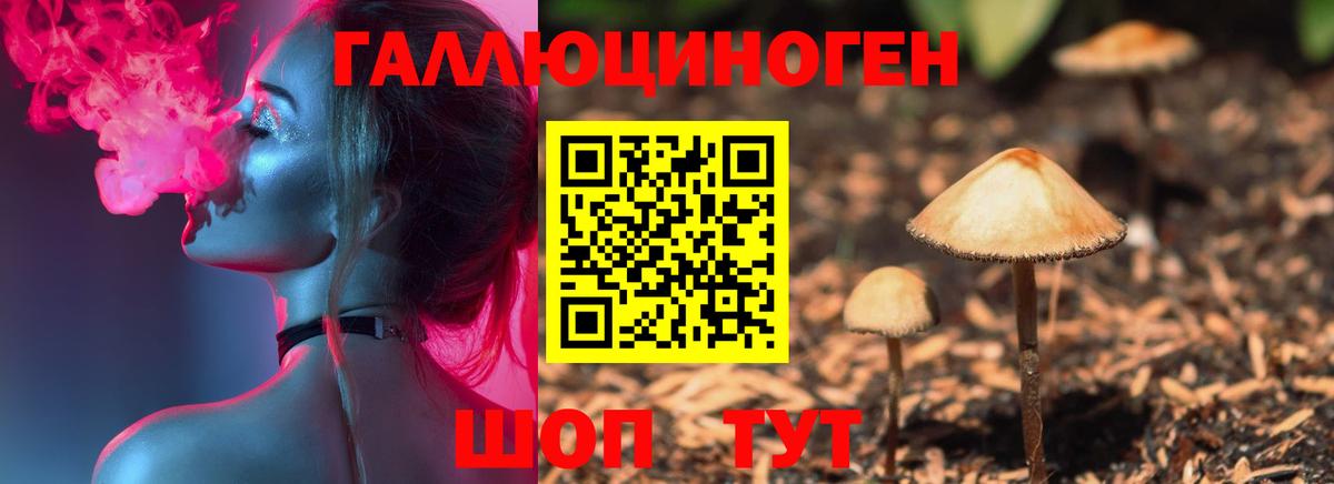 Псилоцибиновые грибы мицелий Отрадное